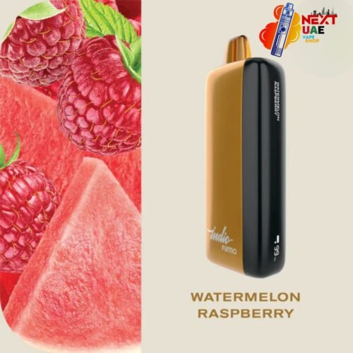 Fummo Indic 12000 Puffs Watermelon Raspberry Disposable Vape in Dubai