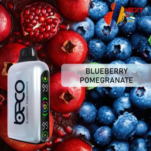 BECO BROCK 15000 PUFFS Blueberry Pomegranate Disposable Vape (20mg) in Dubai