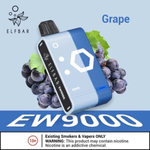 Elf Bar EW9000 Grape Disposable Pods & Kit in Dubai