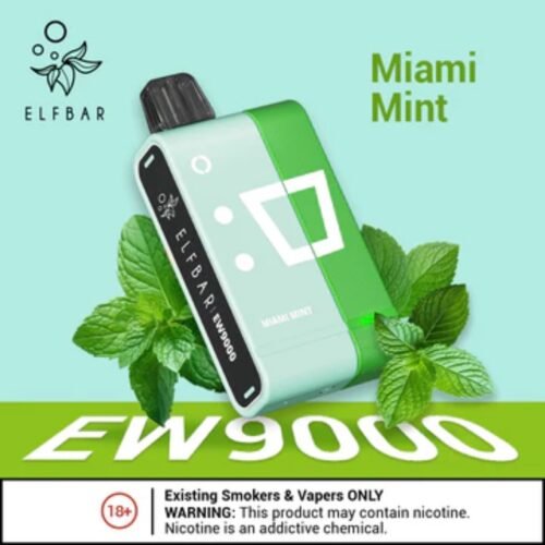 Elf Bar EW9000 Miami Mint Disposable Pods & Kit in Dubai