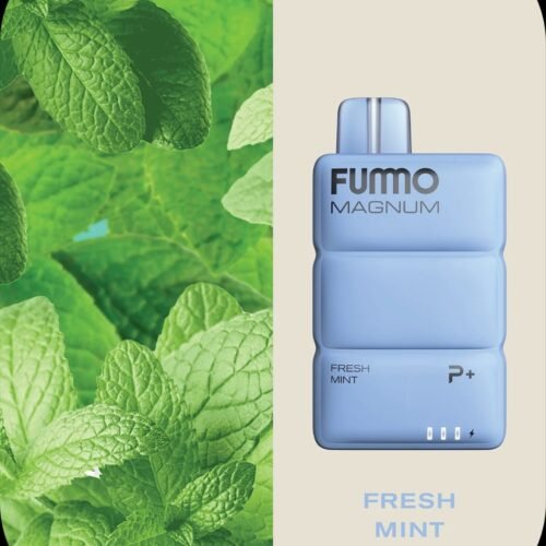 New FUMMO Magnum 8000 Puffs Fresh Mint Disposable Vape in Dubai